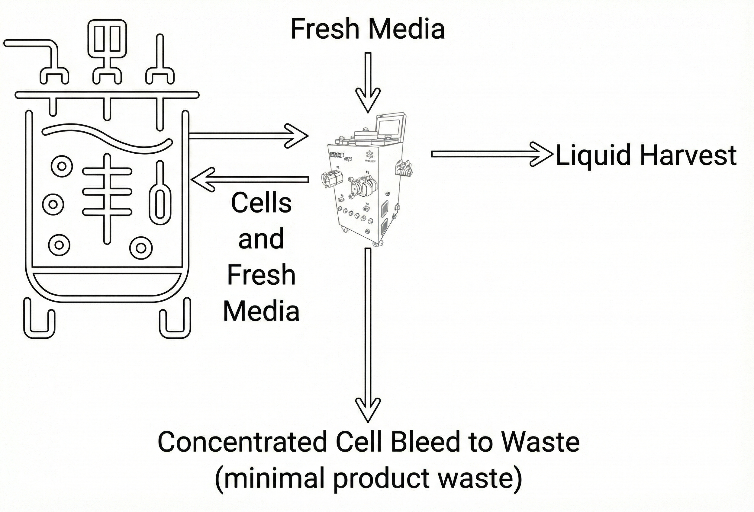 CORIg Perfusion Workflow